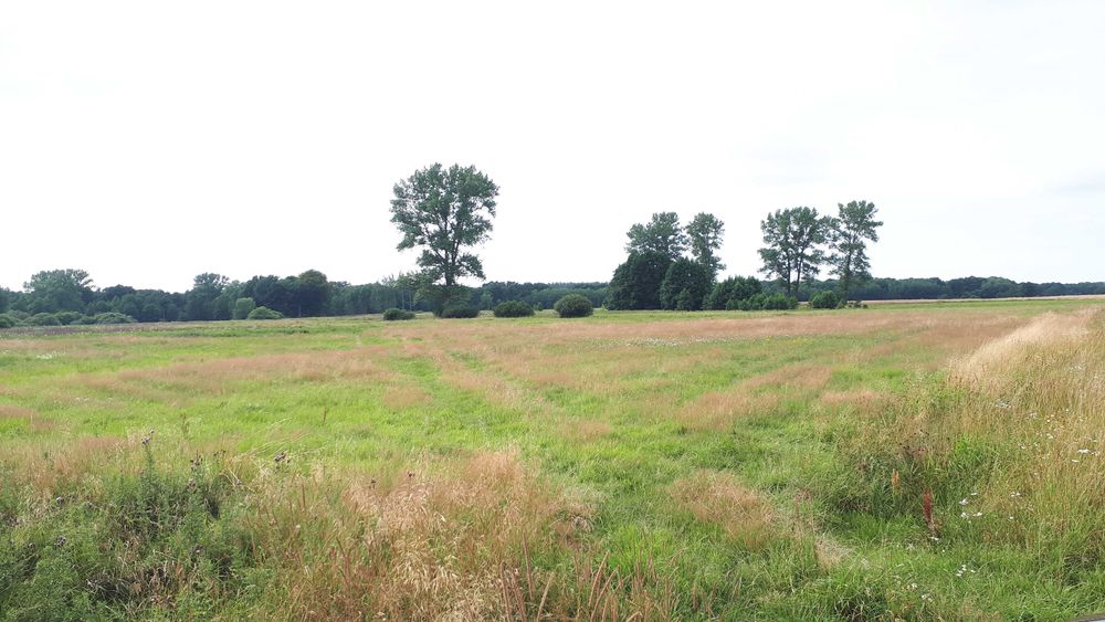 OKAZJA 14km Morze, 4złote m2, 9800m2 Duże działki, Siemidarżno OKAZJA