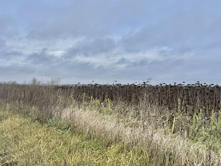 Земельна ділянка 20,17 га! с.Небелиця