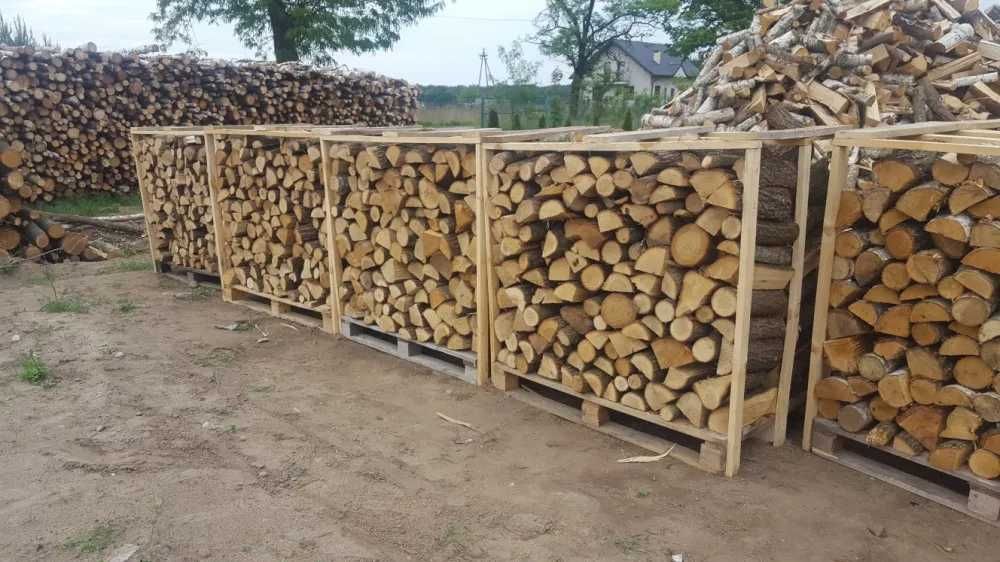 Sprzedam drzewo liściaste dąb brzoza