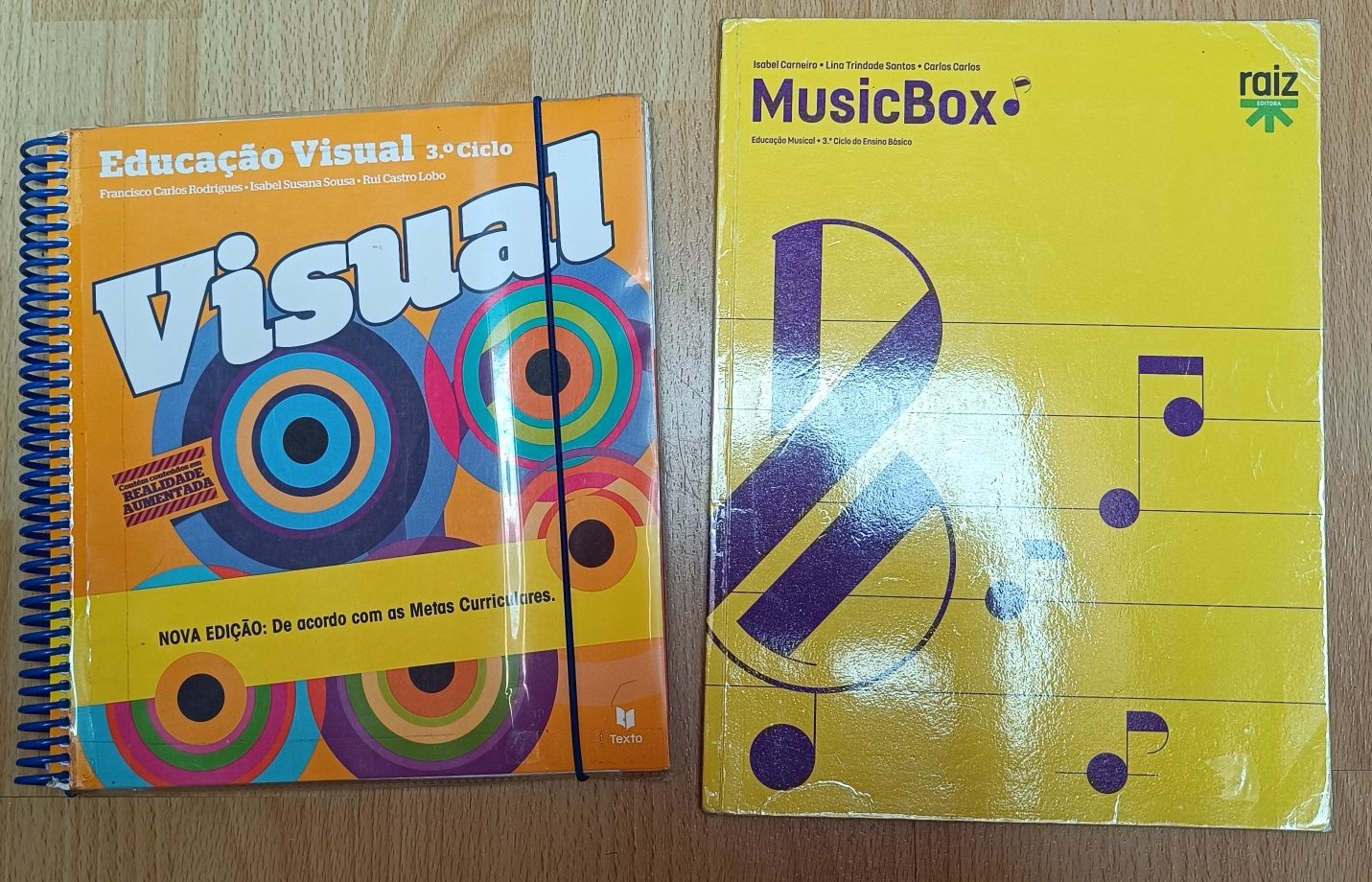 Livros de 3° ciclo - 9° ano