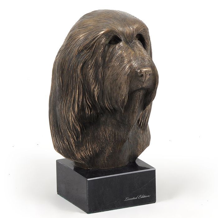 Bearded Collie głowa na kamieniu Art-Dog