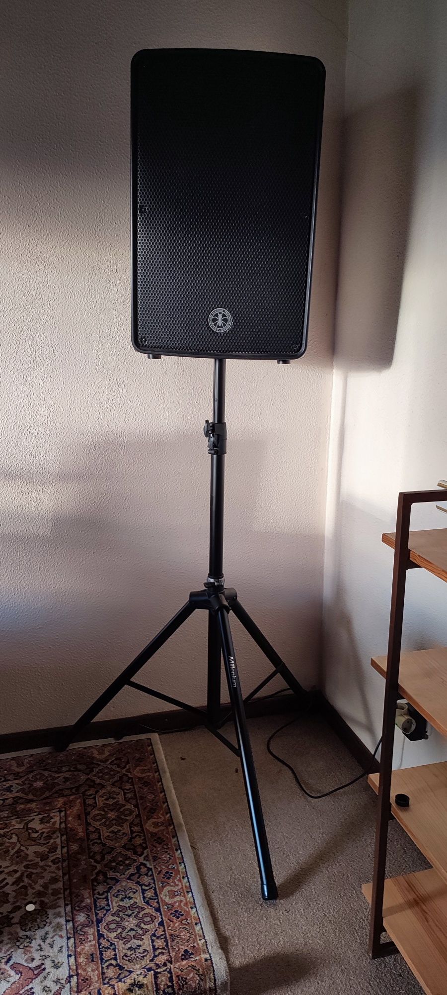 PA ANT Redfire 15 - 800w - Excelente estado