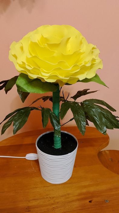 Нічник Півонія жовта