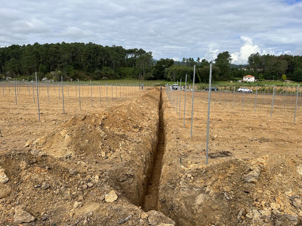 Construção de Jardins / Sist. Rega Jardins / Agricolas.-  Orç. Grátis.