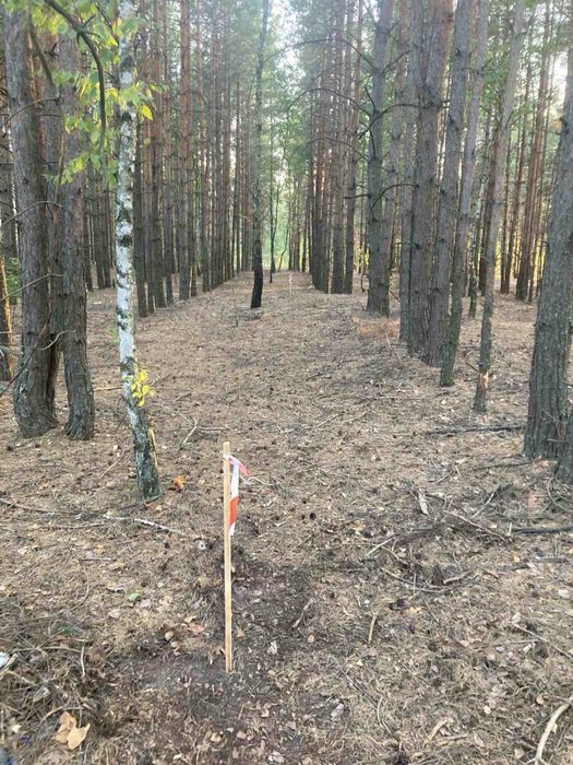 Продам земельну ділянку в с. Пірнове