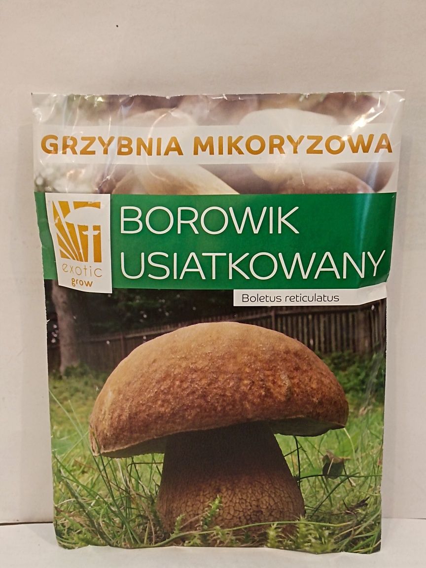 Grzybnia mikoryzowa Borowik usiatkowany