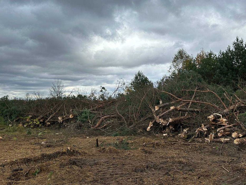 Розліснення ділянок під с/г діяльність або під будівництво