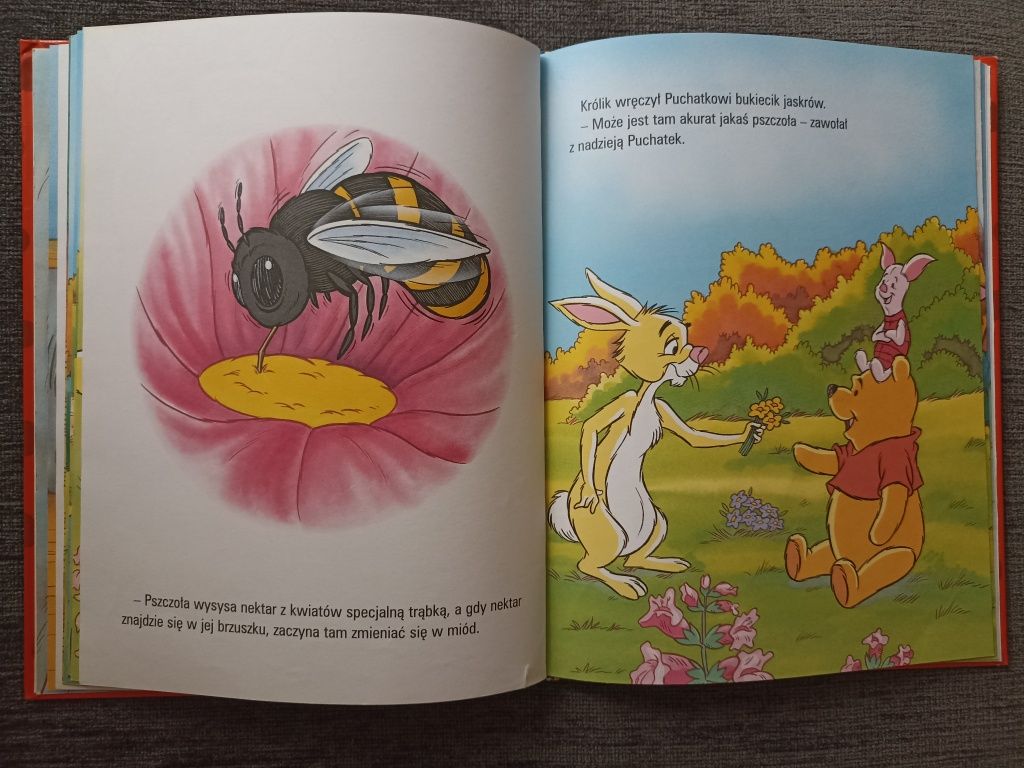 Kubuś Puchatek książka