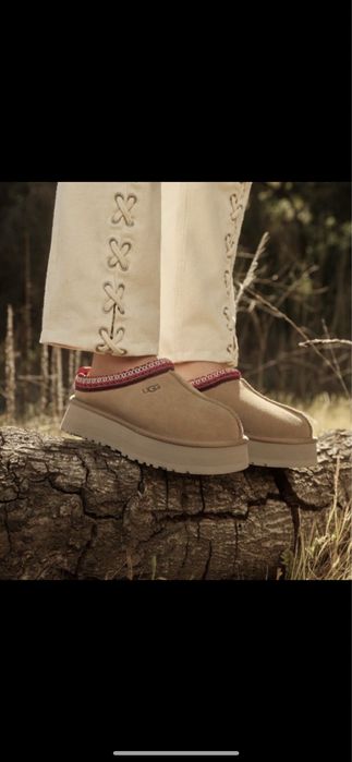 Ugg Tazz original (оригінал)