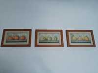 Quadros decorativos