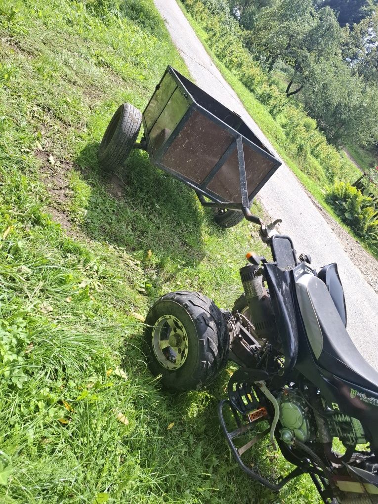 Quad Bashan 250 +przyczepka i pług