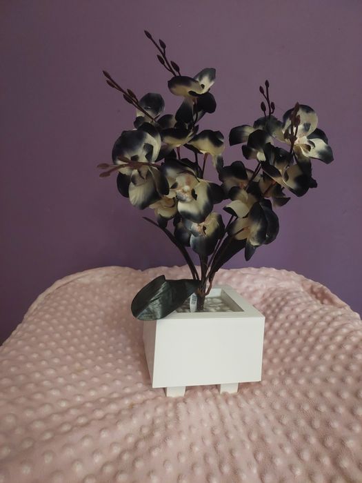 Nowy biało czarny storczyk pięcio-pędowy orchidea kwiaty sztuczne