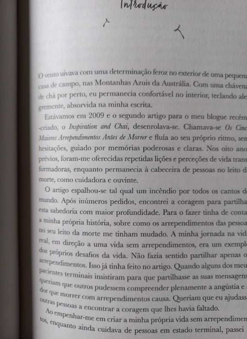 Os Cinco Maiores Arrependimentos Antes de Morrer - Bronnie Ware