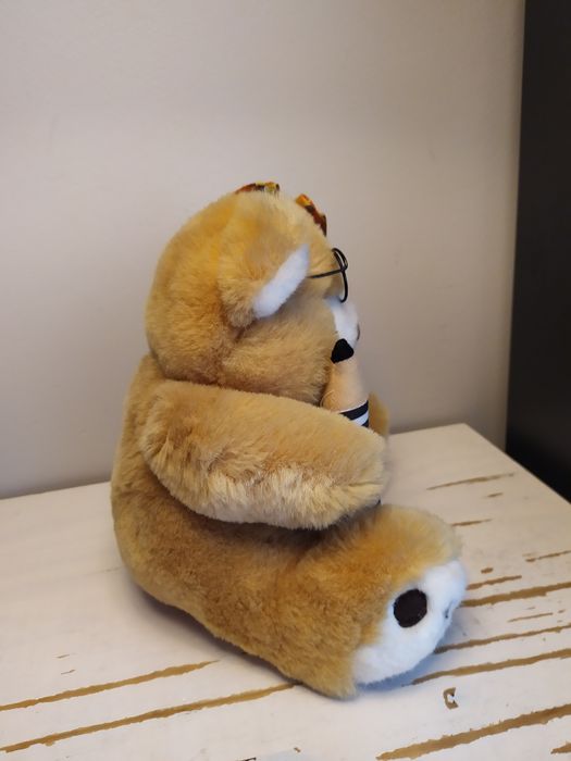 Miś uczeń student maskotka pluszak przytulanka