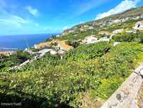 Terreno para construção - Arco da Calheta - Pombal