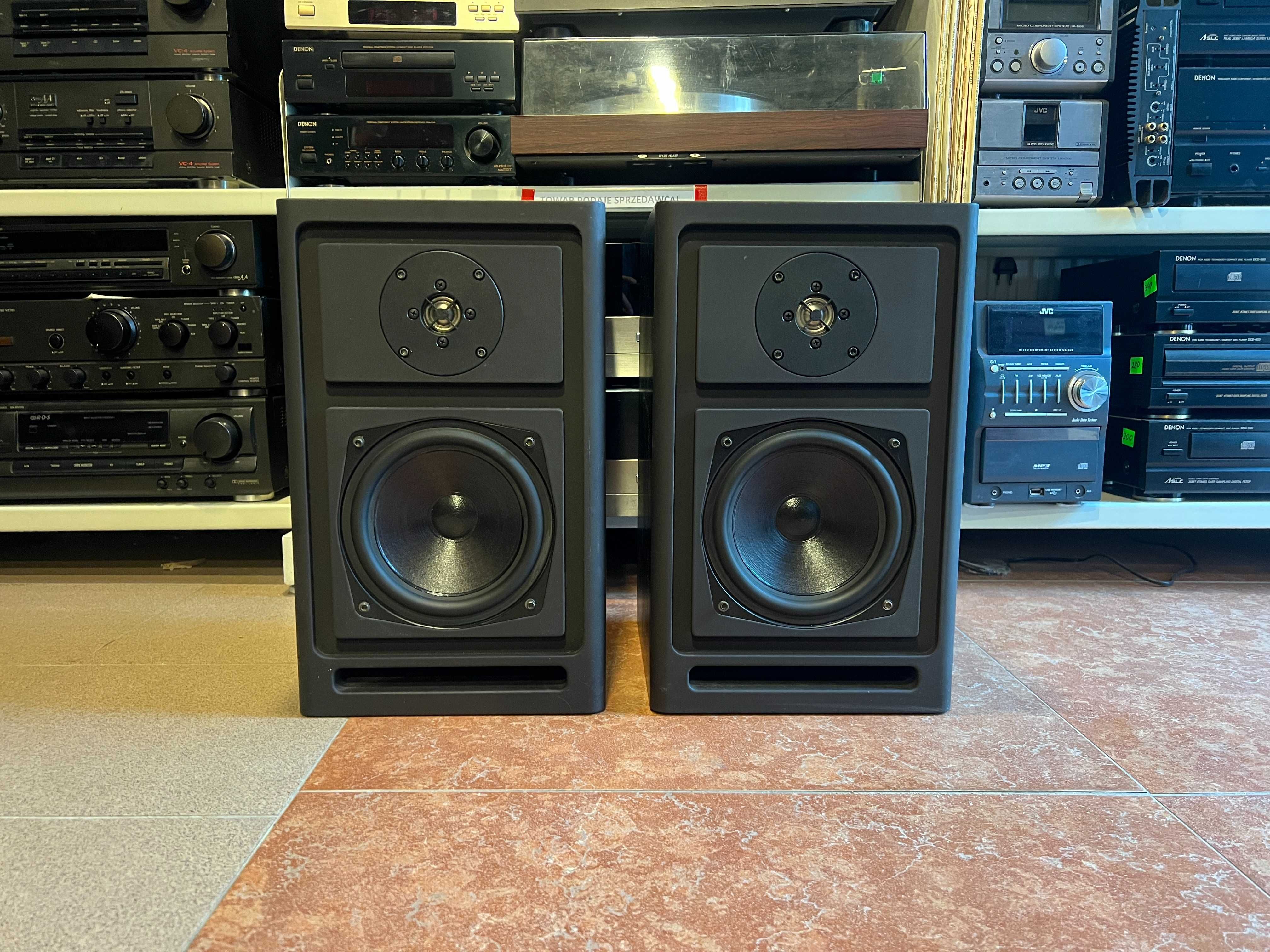 Kolumny podstawkowe ASW Cantius MS II monitory, Audio Room
