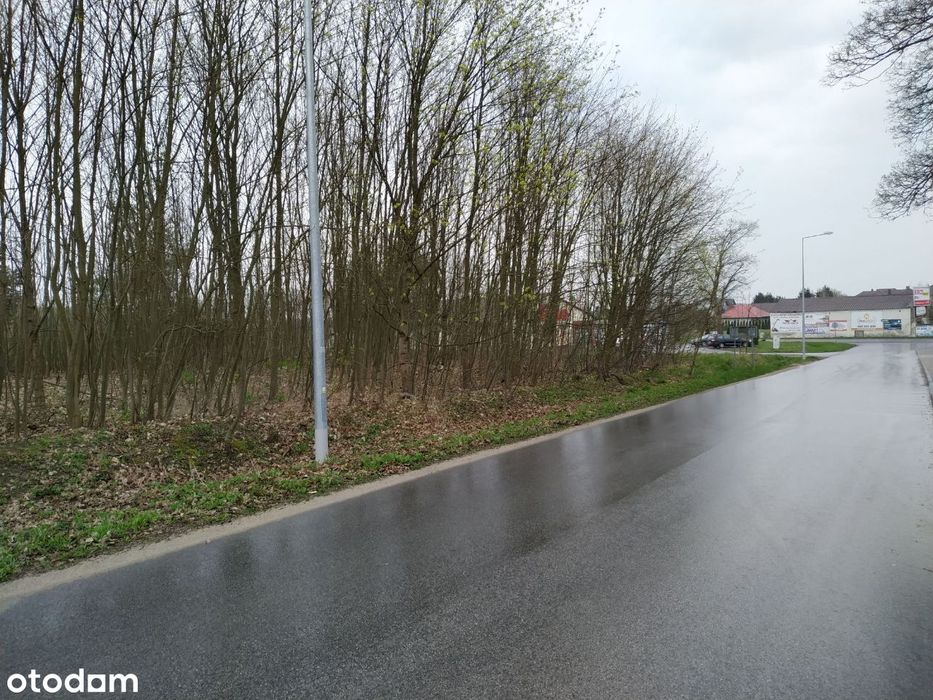 Działka pod dzierżawę obok marketu Dino - Szydłowo