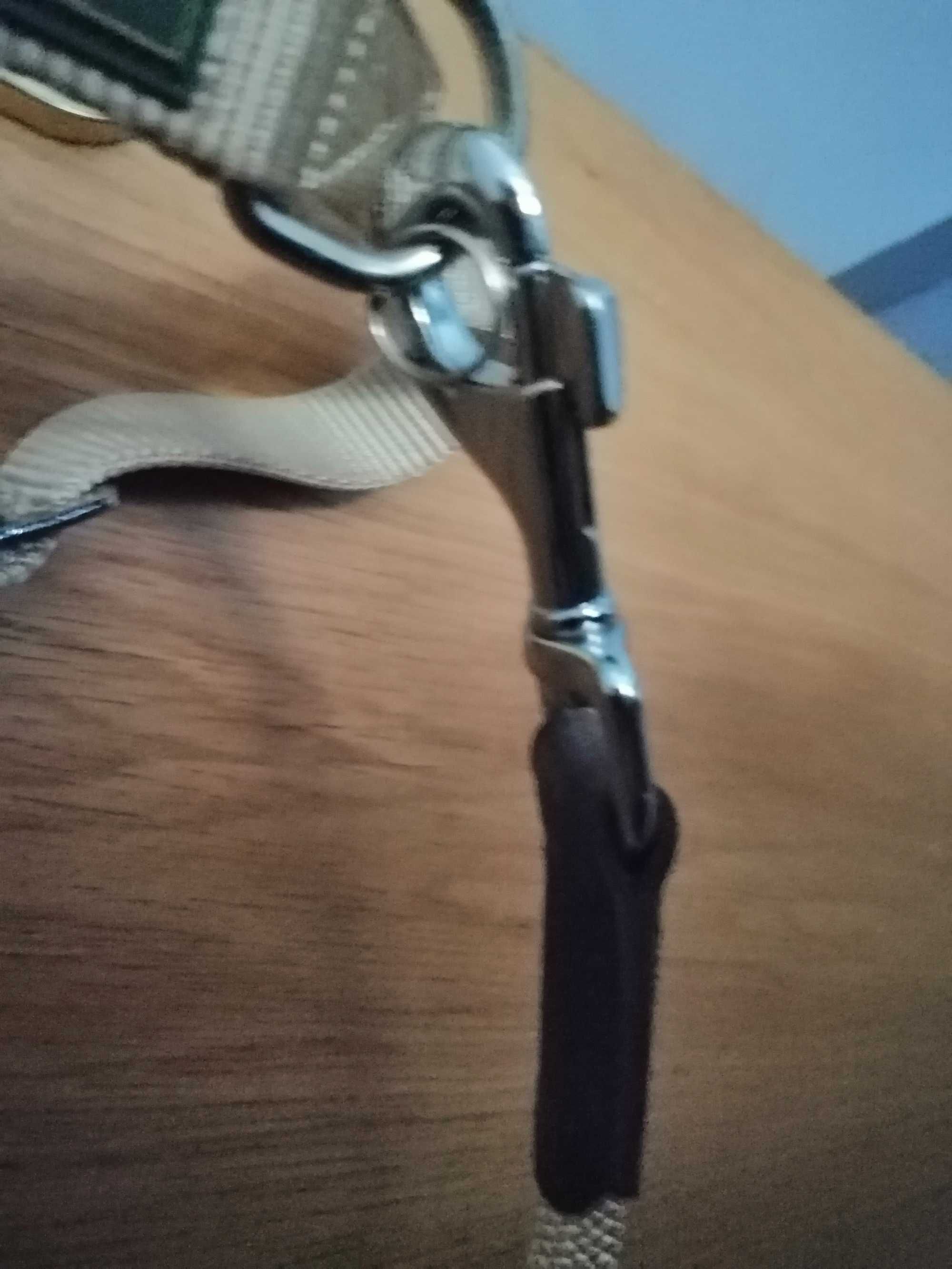 Coleira L e trela Hunter Novas desconto (ver fotos e descrição)