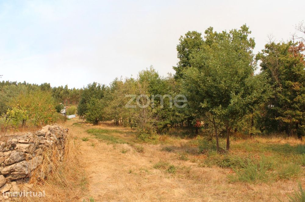Terreno para construção e exploração agrícola em Paranhos da Beira...