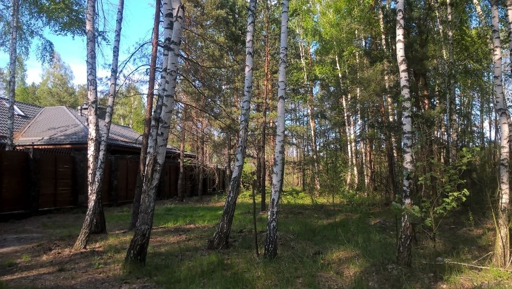 Продається ексклюзивна ділянка з лісом! Хочановка.