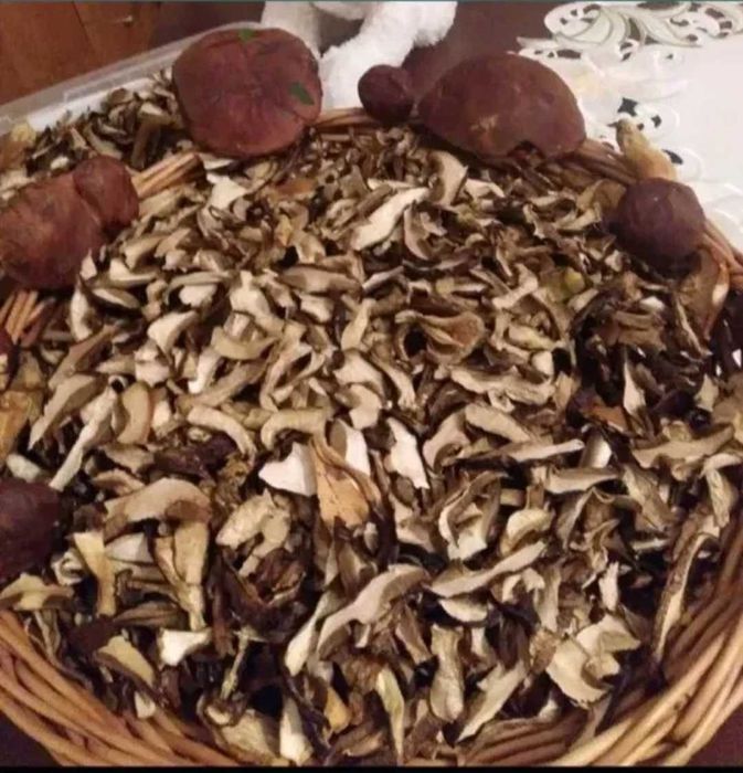 Podgrzybek suszony 120g