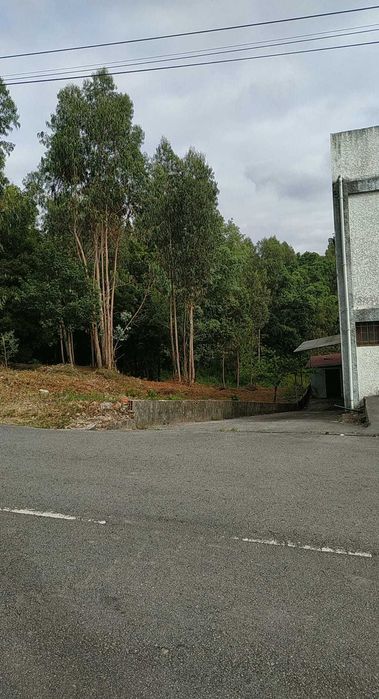 Terreno Rústico Ovar