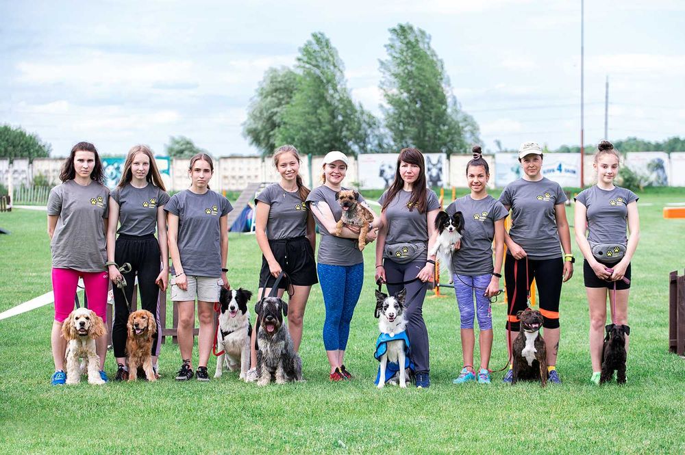 Дресирування собак усіх порід: слухняність, спорт з собакою (аджиліті)