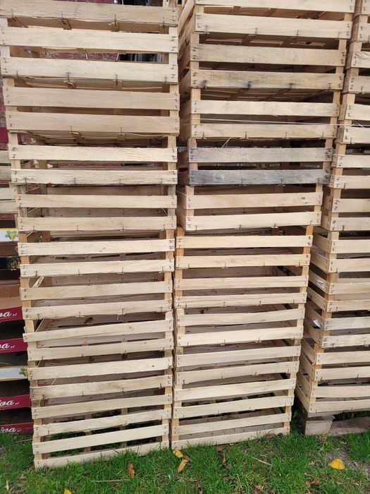 Łuszczki, skrzynki drewniane