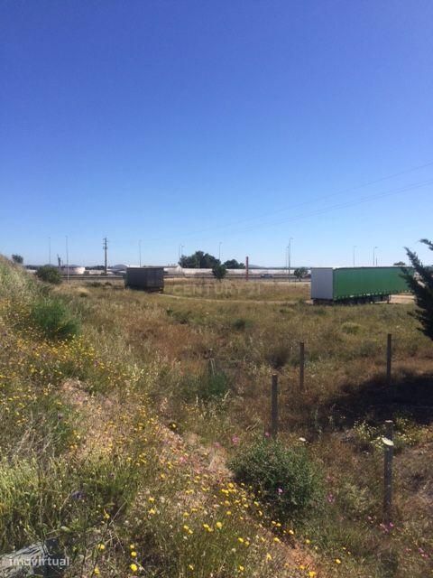 Terreno Rústico em Silves, Faro - Oportunidade Única!