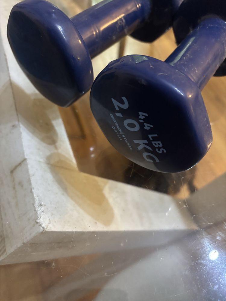 Halteres 2 kg como novos