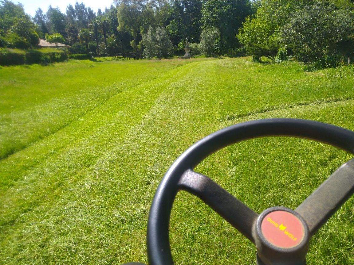 Limpeza de terrenos e Jardinagem