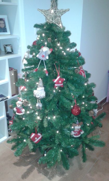 Árvore de Natal sem decoração