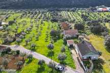 Terreno Para Construção De Moradia Com Area De 3665 M2 Em Vale De A...
