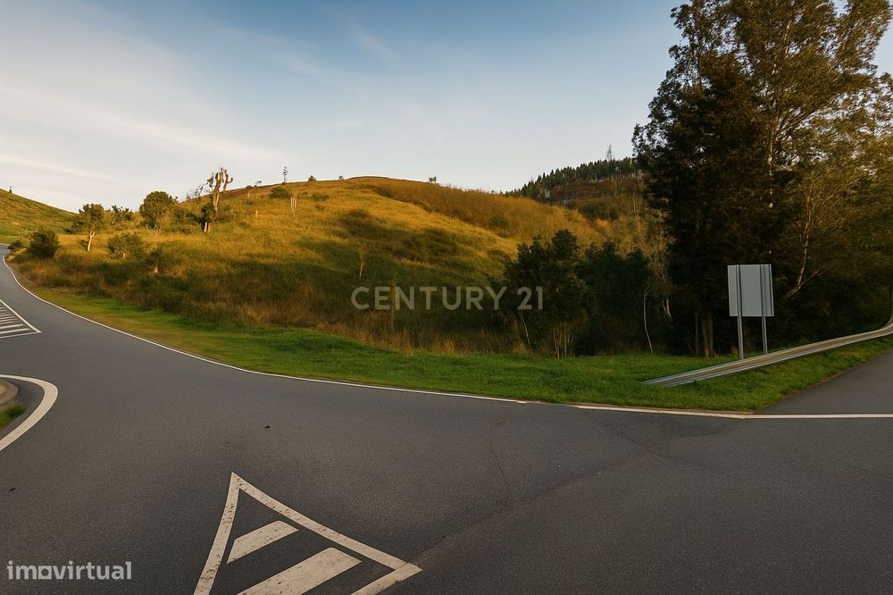 Terreno Rústico com Mais de 8 Hectares — Santana da Serra | À Porta do