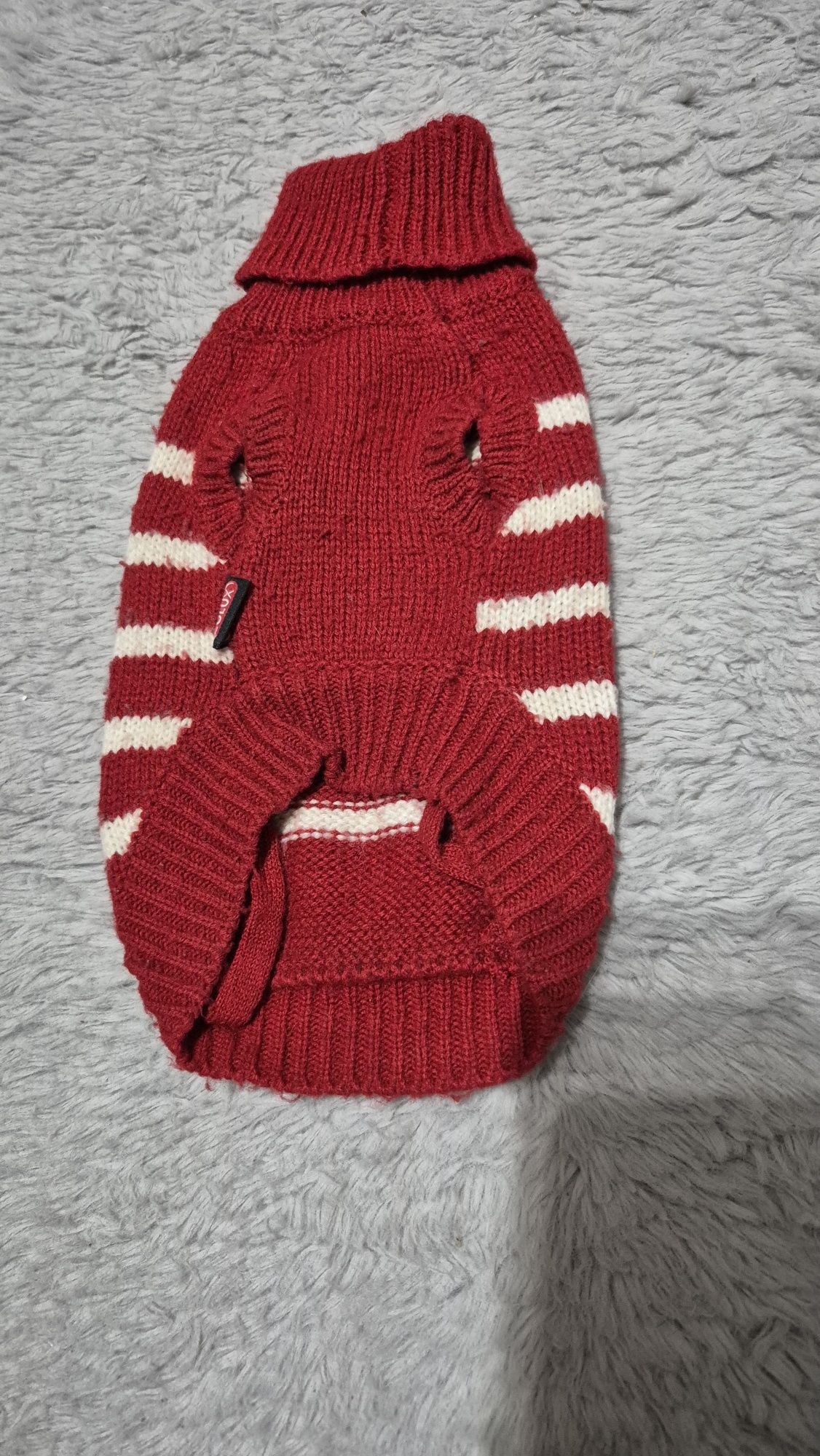 Sweter sweterek dla psa czerwony 25cm