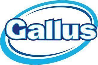 GALLUS Professional Color 120P 6,6kg proszek do prania