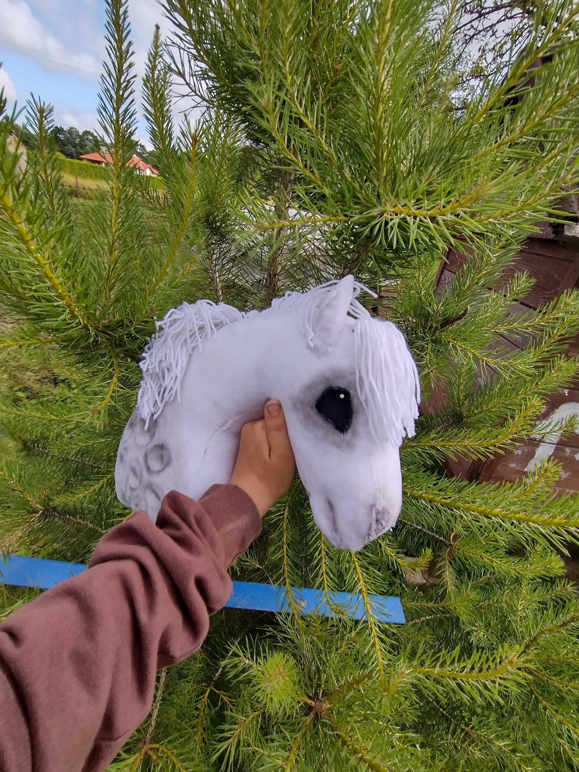 Hobby horse popuralne