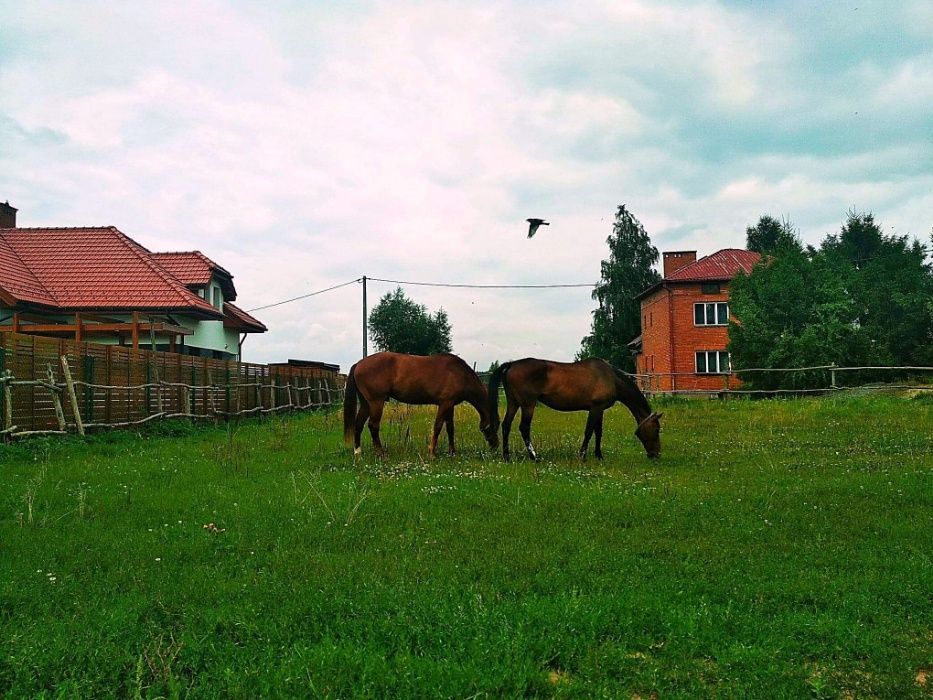 Stajnia, pensjonat, boksy dla koni - Kraków Liszki Cholerzyn