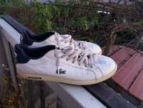 Tennis lacoste n°42