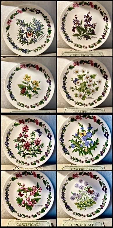*KOMPLET 8 Elegancki ROYAL WORCESTER ZIOŁA MOTYL Vintage Kwiaty Talerz