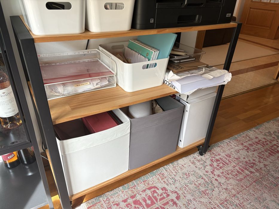 Pratico Movel com Rodas