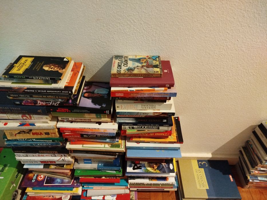 Lote de 505 livros