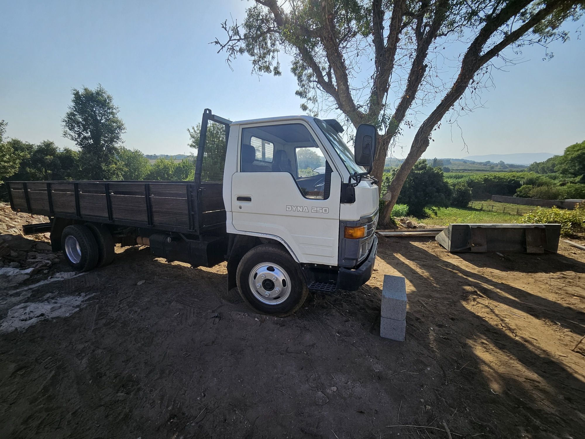 Toyota Dyna 250 Ligeira