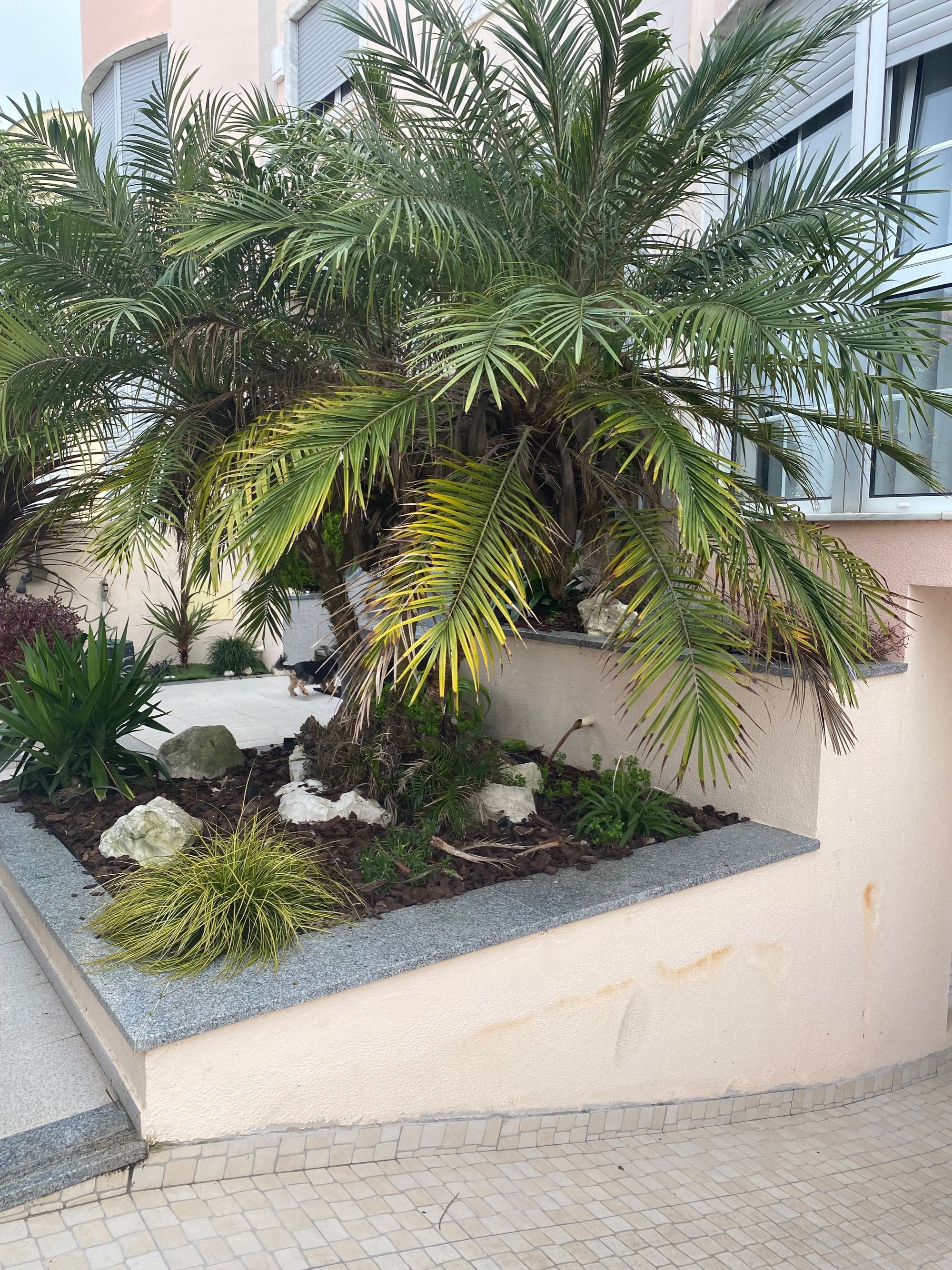 Moradia em Banda com Piscina e Terraço na Charneca da Caparica