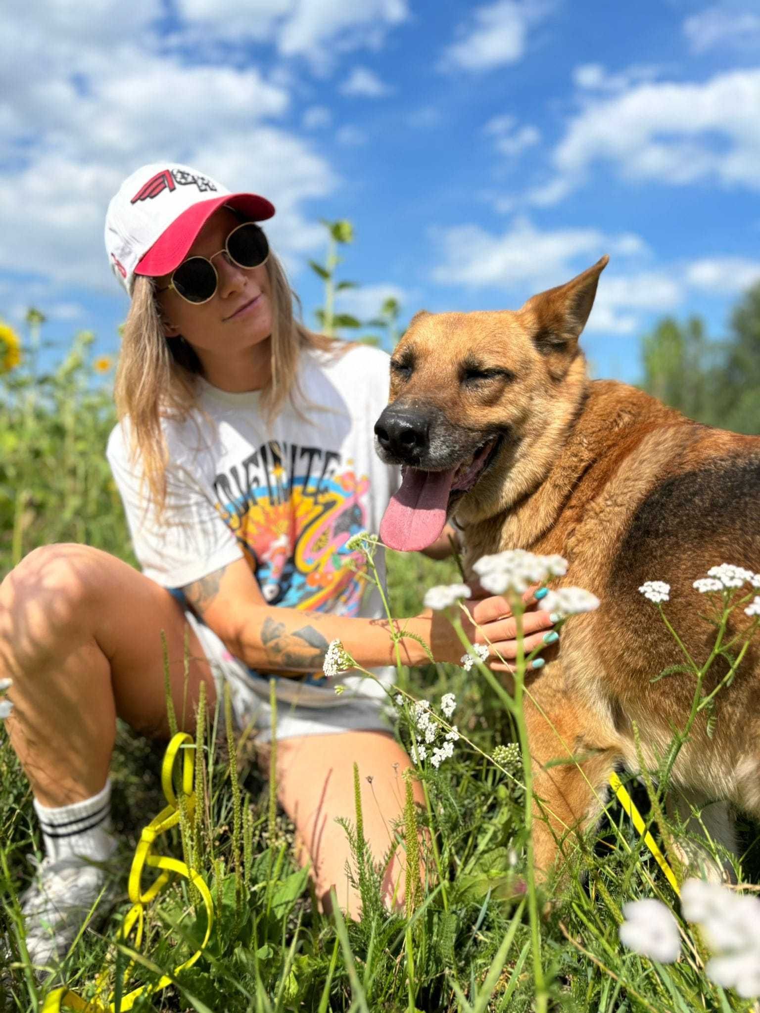 Amigo szuka kąta dla siebie