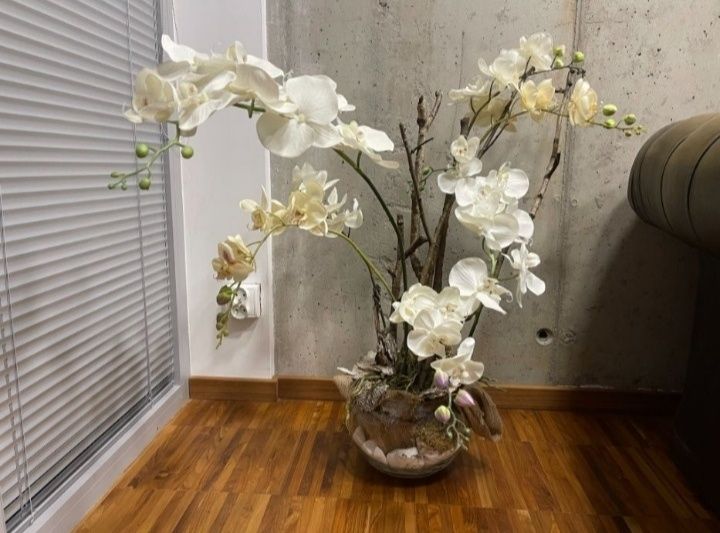 KOMPOZYCJA z orchidei - na recepcję, do salonu, b. duża - PIĘKNA!