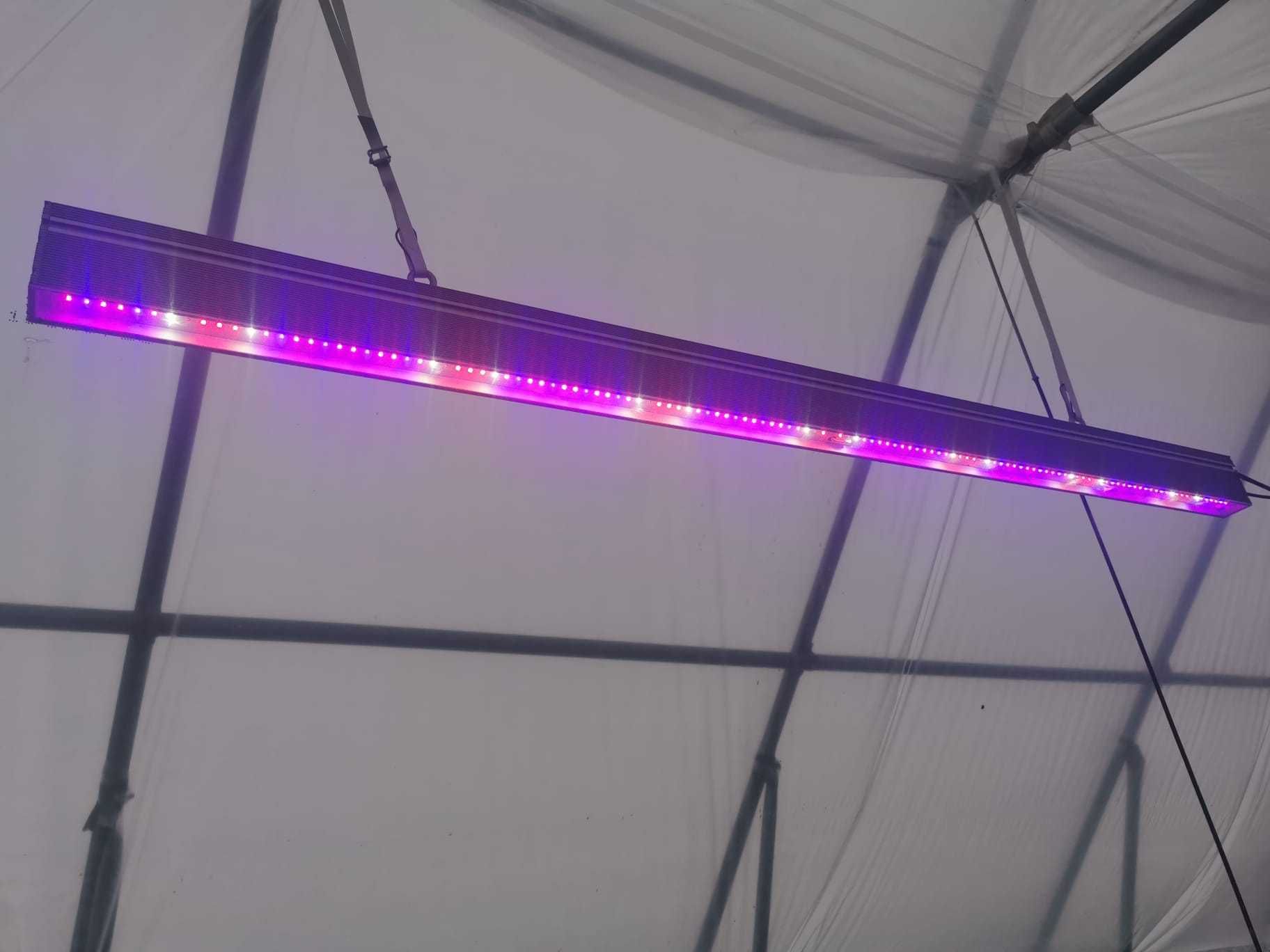 Lampa Led Growy Osram NEONICA Silver Pro 200  -ogrodnictwo - do roślin