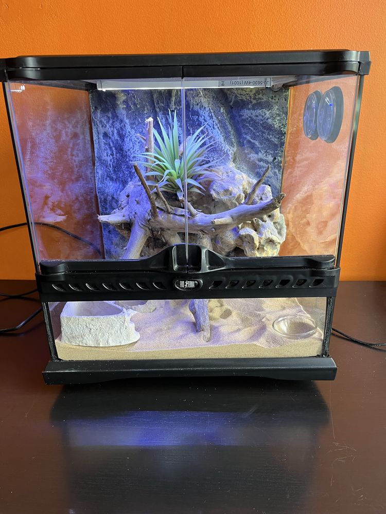 Terrário ExoTerra 30x30x30 – Totalmente Equipado