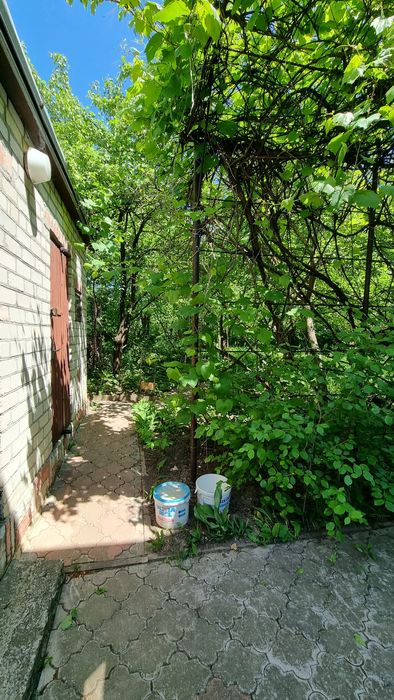 ПРОДАЖ БУДИНКУ, Смиківці, із господарською будівлею