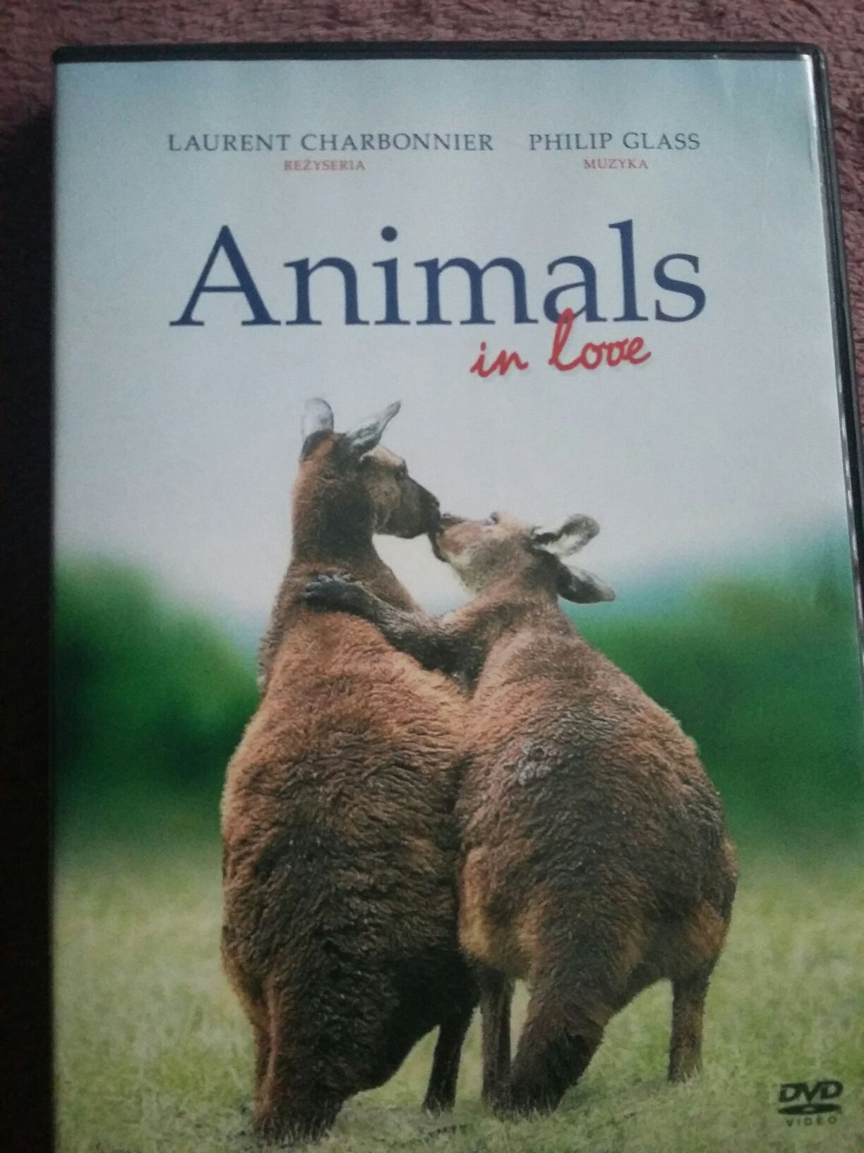 Animals in love.Film na DVD